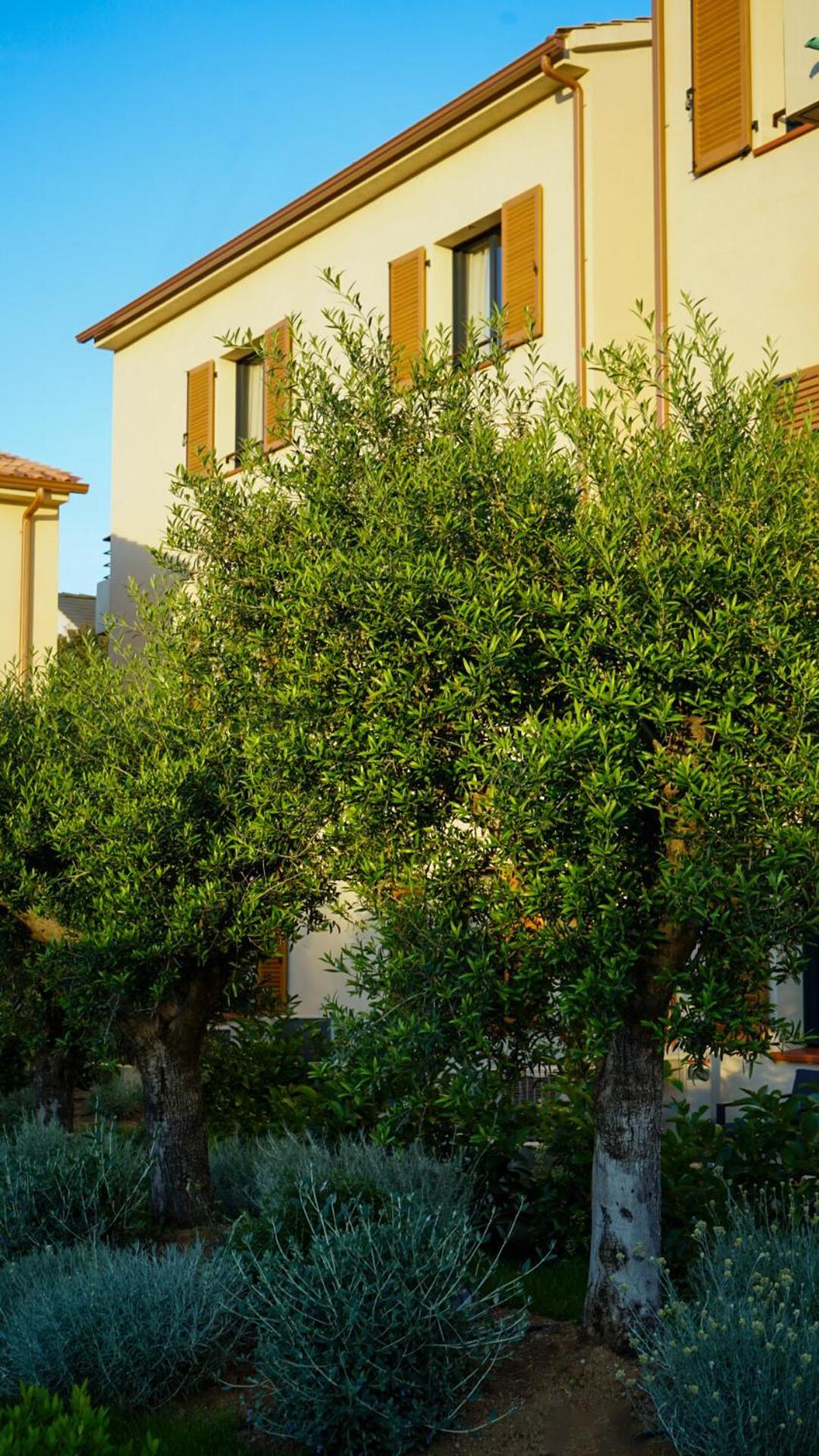 Residence Catalina Saint-Florent  Exterior foto