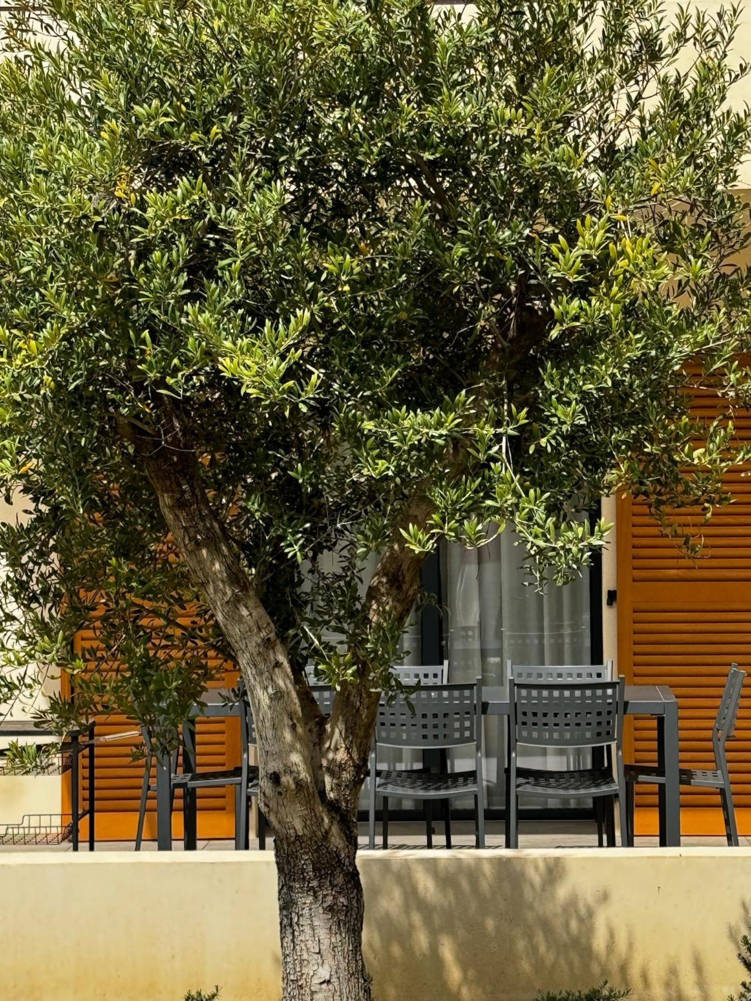 Residence Catalina Saint-Florent  Exterior foto